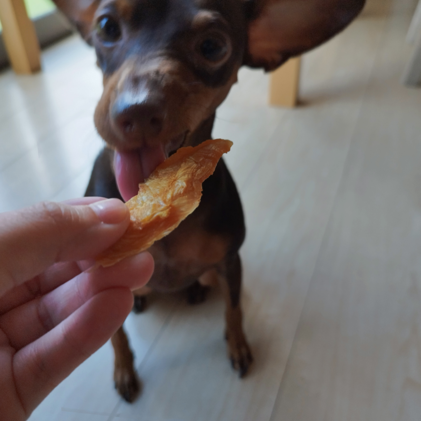 犬猫用 手作り無添加おやつセット
