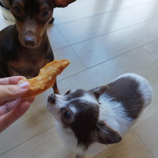 犬猫用 手作り無添加おやつセット
