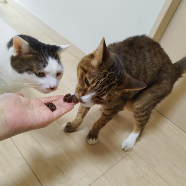 犬猫用 手作り無添加おやつセット