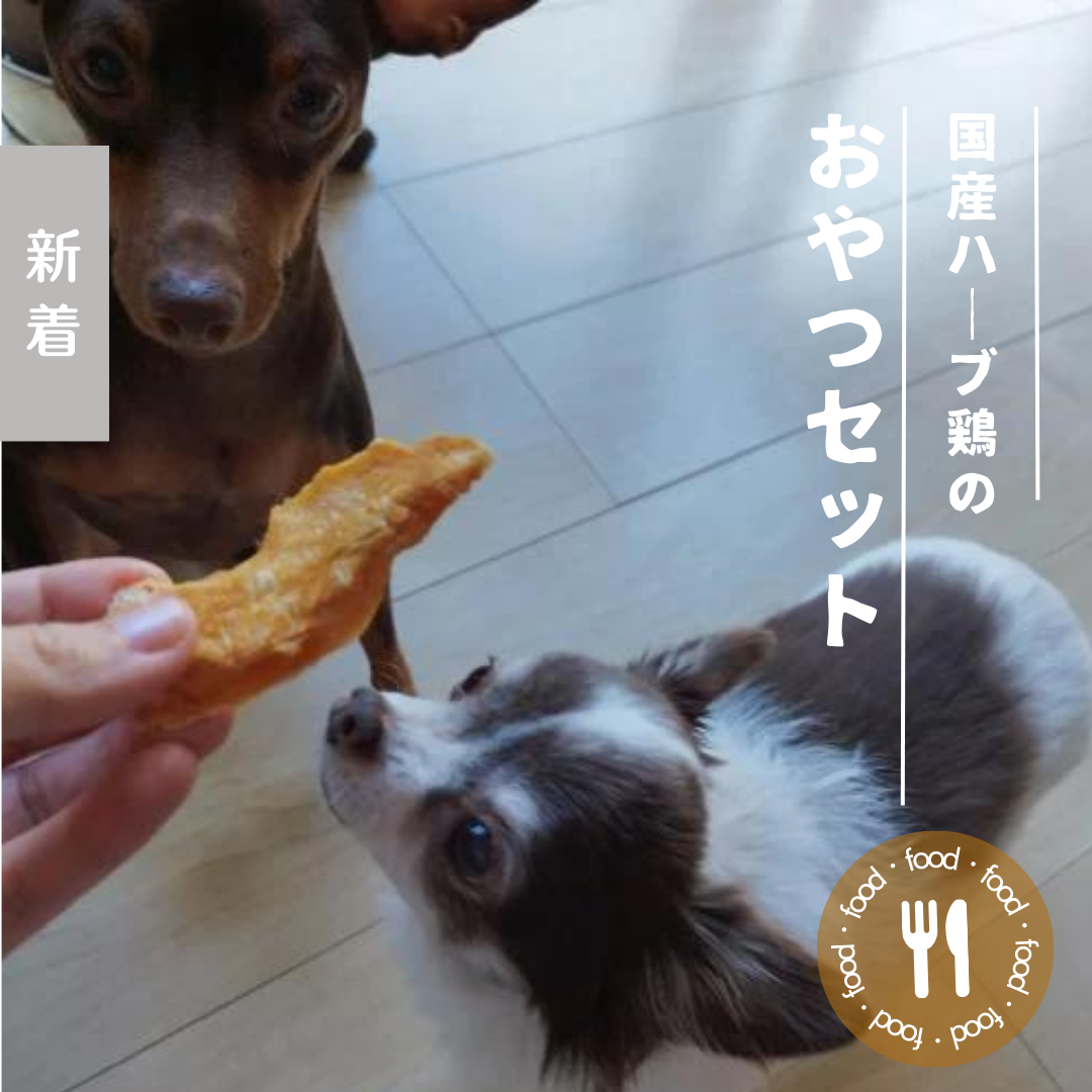 犬猫用 手作り無添加おやつセット